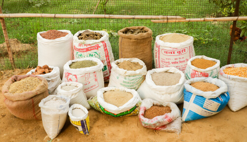 Nutritious and Hormone-free Feed