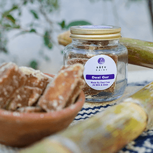 Vedic Curd